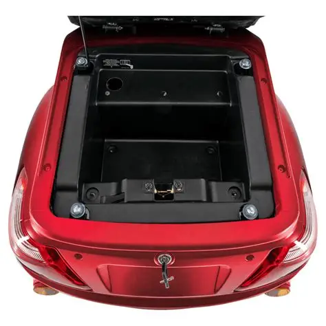 OIP (1) trunk